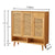 YF-5303T rattan shoe cabinet 