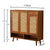 YF-5303T rattan shoe cabinet 